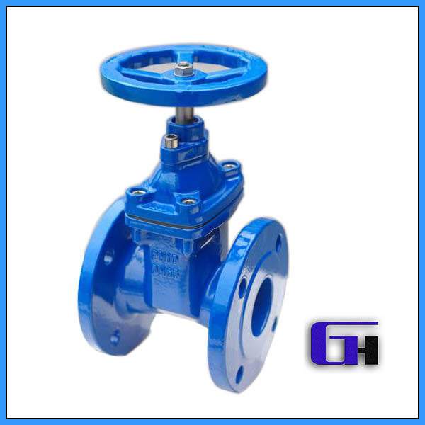 Resilient Gate Valve
